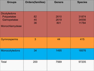 Groups Orders(families) Genera Species
Dicotyledons
Polypetalae
Gamopetalae
Monochlamydeae
82
45
36
2610
2619
801
31874
34556
11784
Gymnosperms 3 44 415
Monocotyledons 34 1495 18576
Total 200 7569 97205
 