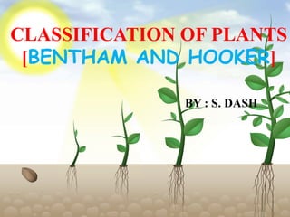 CLASSIFICATION OF PLANTS
[BENTHAM AND HOOKER]
BY : S. DASH
 