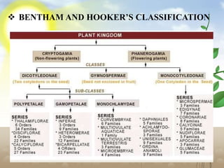 Classification of Plants Bentham & Hooker PPT