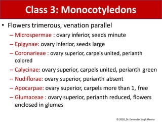 • Flowers trimerous, venation parallel
– Microspermae : ovary inferior, seeds minute
– Epigynae: ovary inferior, seeds large
– Coronarieae : ovary superior, carpels united, perianth
colored
– Calycinae: ovary superior, carpels united, perianth green
– Nudiflorae: ovary superior, perianth absent
– Apocarpae: ovary superior, carpels more than 1, free
– Glumaceae : ovary superior, perianth reduced, flowers
enclosed in glumes
Class 3: Monocotyledons
© 2020_Dr. Devender SinghMeena
 