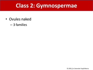 • Ovules naked
– 3 families
Class 2: Gymnospermae
© 2020_Dr. Devender SinghMeena
 