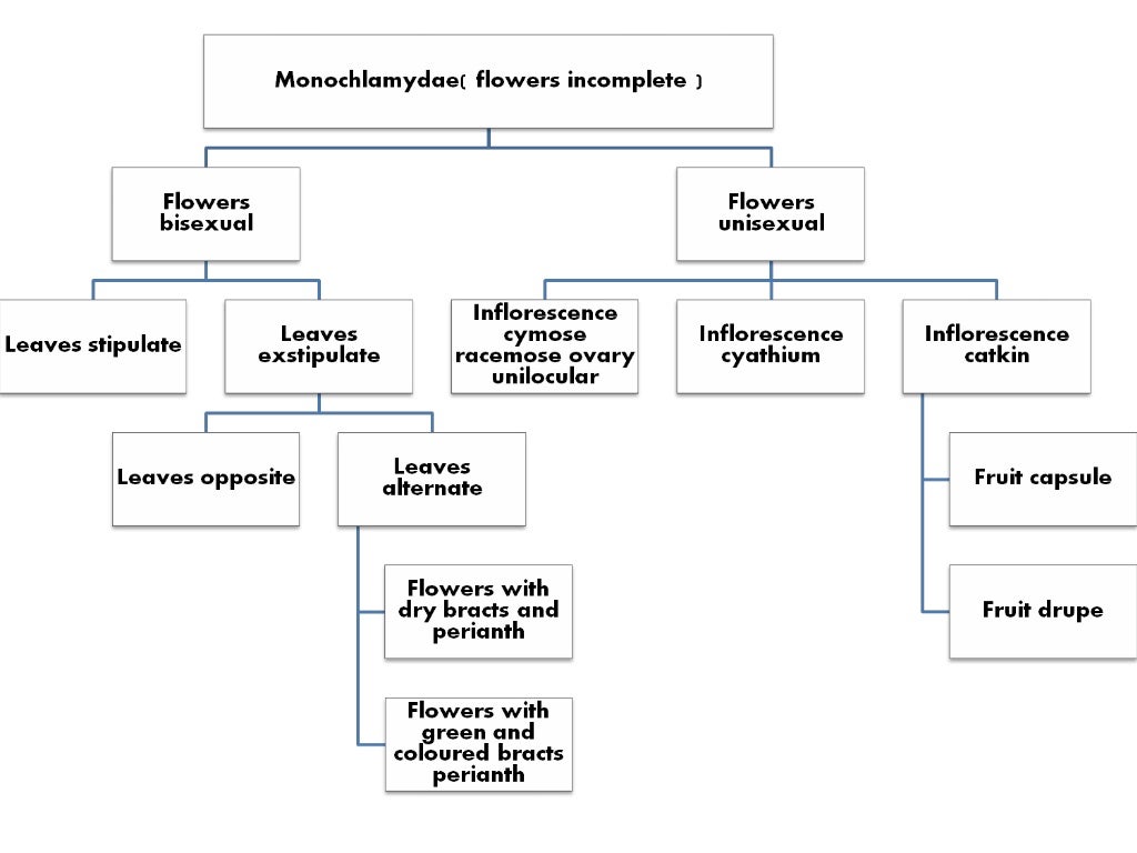 Classification Of Bentham And Hooker Bentham Hooker system of classification