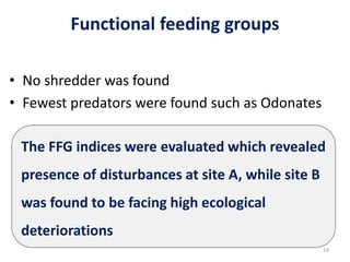 Benthic macroinvertebrates as the bioindicators of freshwater polluton ...