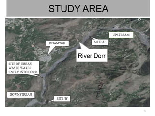 Benthic macroinvertebrates as the bioindicators of freshwater polluton ...