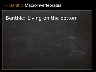• Benthic Macroinvertebrates.
Benthic: Living on the bottom
 