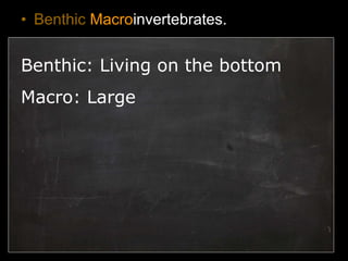 • Benthic Macroinvertebrates.
Benthic: Living on the bottom
Macro: Large
 