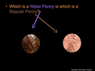 • Which is a Water Penny is which is a
Regular Penny?
Copyright © 2010 Ryan P. Murphy
 