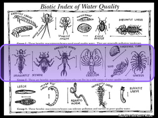 Copyright © 2010 Ryan P. Murphy
 