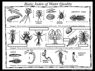 Copyright © 2010 Ryan P. Murphy
 