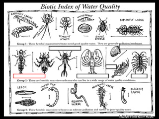 Copyright © 2010 Ryan P. Murphy
 