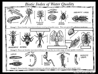 Copyright © 2010 Ryan P. Murphy
 