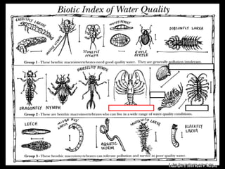 Copyright © 2010 Ryan P. Murphy
 