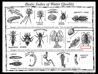 Copyright © 2010 Ryan P. Murphy
 