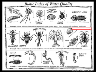 Copyright © 2010 Ryan P. Murphy
 