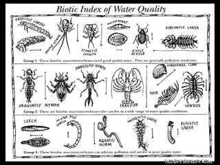 Copyright © 2010 Ryan P. Murphy
 