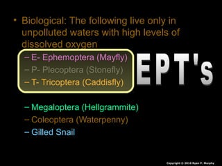 • Biological: The following live only in
unpolluted waters with high levels of
dissolved oxygen
– E- Ephemoptera (Mayfly)
– P- Plecoptera (Stonefly)
– T- Tricoptera (Caddisfly)
– Megaloptera (Hellgrammite)
– Coleoptera (Waterpenny)
– Gilled Snail
Copyright © 2010 Ryan P. Murphy
 