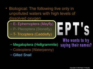 • Biological: The following live only in
unpolluted waters with high levels of
dissolved oxygen
– E- Ephemoptera (Mayfly)
– P- Plecoptera (Stonefly)
– T- Tricoptera (Caddisfly)
– Megaloptera (Hellgrammite)
– Coleoptera (Waterpenny)
– Gilled Snail
Copyright © 2010 Ryan P. Murphy
 