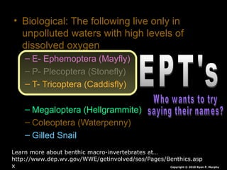 • Biological: The following live only in
unpolluted waters with high levels of
dissolved oxygen
– E- Ephemoptera (Mayfly)
– P- Plecoptera (Stonefly)
– T- Tricoptera (Caddisfly)
– Megaloptera (Hellgrammite)
– Coleoptera (Waterpenny)
– Gilled Snail
Copyright © 2010 Ryan P. Murphy
Learn more about benthic macro-invertebrates at…
http://www.dep.wv.gov/WWE/getinvolved/sos/Pages/Benthics.asp
x
 