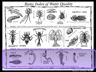 Copyright © 2010 Ryan P. Murphy
 