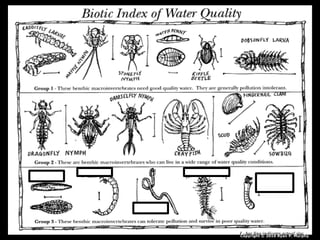 Copyright © 2010 Ryan P. Murphy
 