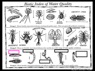 Copyright © 2010 Ryan P. Murphy
 
