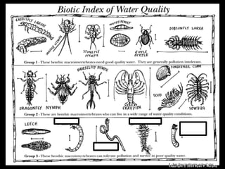 Copyright © 2010 Ryan P. Murphy
 