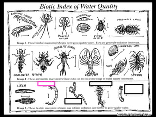 Copyright © 2010 Ryan P. Murphy
 