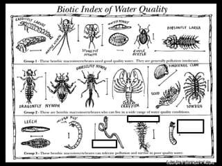 Copyright © 2010 Ryan P. Murphy
 