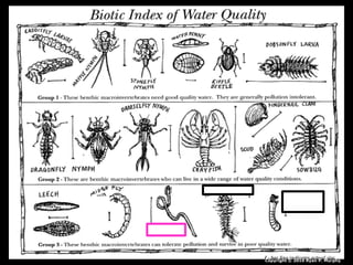 Copyright © 2010 Ryan P. Murphy
 