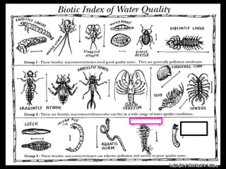 Copyright © 2010 Ryan P. Murphy
 