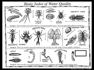 Copyright © 2010 Ryan P. Murphy
 