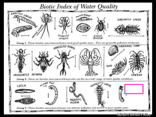 Copyright © 2010 Ryan P. Murphy
 