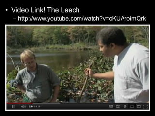 • Video Link! The Leech
– http://www.youtube.com/watch?v=cKUAroimQrk
 