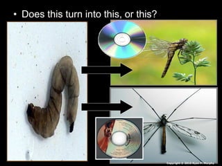 • Does this turn into this, or this?
Copyright © 2010 Ryan P. Murphy
 