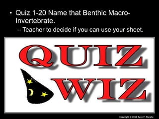 • Quiz 1-20 Name that Benthic Macro-
Invertebrate.
– Teacher to decide if you can use your sheet.
Copyright © 2010 Ryan P. Murphy
 