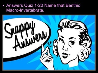 • Answers Quiz 1-20 Name that Benthic
Macro-Invertebrate.
 