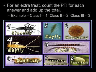 • For an extra treat, count the PTI for each
answer and add up the total.
– Example – Class I = 1, Class II = 2, Class III = 3
 