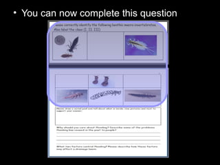 • You can now complete this question
 