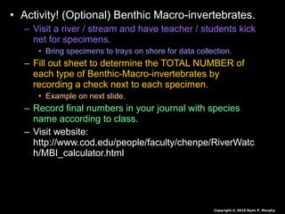 • Activity! (Optional) Benthic Macro-invertebrates.
– Visit a river / stream and have teacher / students kick
net for specimens.
• Bring specimens to trays on shore for data collection.
– Fill out sheet to determine the TOTAL NUMBER of
each type of Benthic-Macro-invertebrates by
recording a check next to each specimen.
• Example on next slide.
– Record final numbers in your journal with species
name according to class.
– Visit website:
http://www.cod.edu/people/faculty/chenpe/RiverWatc
h/MBI_calculator.html
Copyright © 2010 Ryan P. Murphy
 