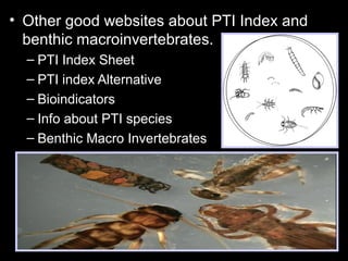 • Other good websites about PTI Index and
benthic macroinvertebrates.
– PTI Index Sheet
– PTI index Alternative
– Bioindicators
– Info about PTI species
– Benthic Macro Invertebrates
 