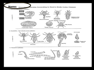 IIII
IIII
IIII
Name:
 