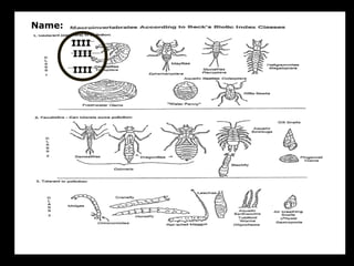 IIII
IIII
IIII
Name:
 