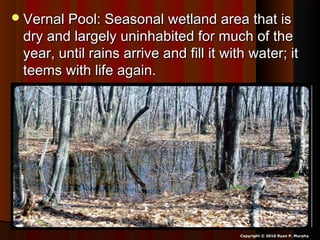 Vernal Pool: Seasonal wetland area that isVernal Pool: Seasonal wetland area that is
dry and largely uninhabited for much of thedry and largely uninhabited for much of the
year, until rains arrive and fill it with water; ityear, until rains arrive and fill it with water; it
teems with life again.teems with life again.
Copyright © 2010 Ryan P. Murphy
 