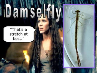 “That’s a
stretch at
best.”
 