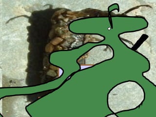 Copyright © 2010 Ryan P. Murphy
 