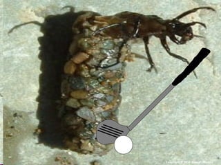 Copyright © 2010 Ryan P. Murphy
 