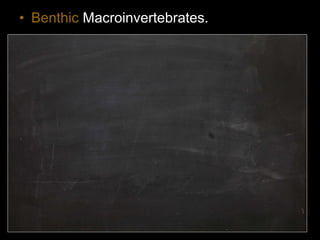 • Benthic Macroinvertebrates.
 