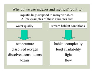 Benthic Scores Final | PPT