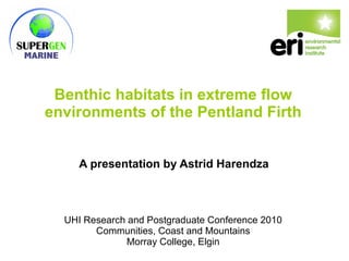 Benthic habitats in extreme flow
environments of the Pentland Firth
A presentation by Astrid Harendza
UHI Research and Postgraduate Conference 2010
Communities, Coast and Mountains
Morray College, Elgin
 
