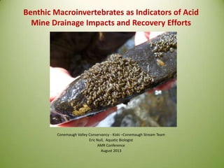 Benthic Macroinvertebrates as Indicators of Acid
Mine Drainage Impacts and Recovery Efforts
Conemaugh Valley Conservancy - Kiski –Conemaugh Stream Team
Eric Null, Aquatic Biologist
AMR Conference
August 2013
 